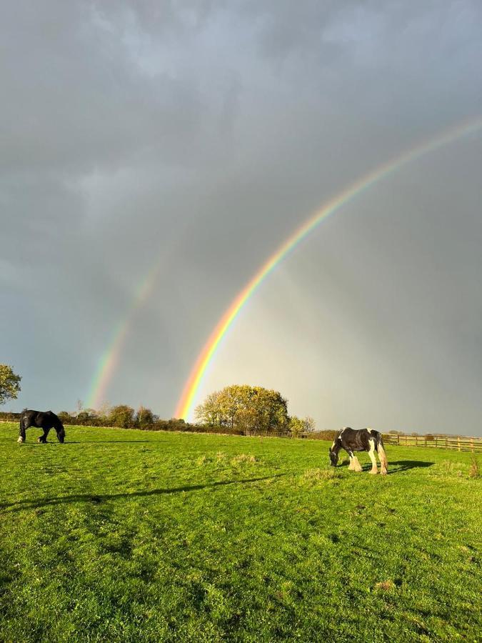 Appaloosa Suite With Amazing Views Of Stud Farm. Driffield المظهر الخارجي الصورة